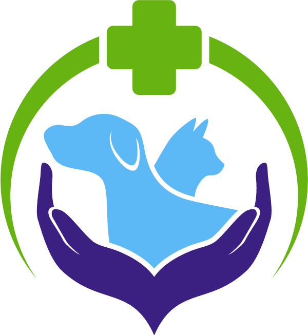 Conseil assurance et mutuelle animaux